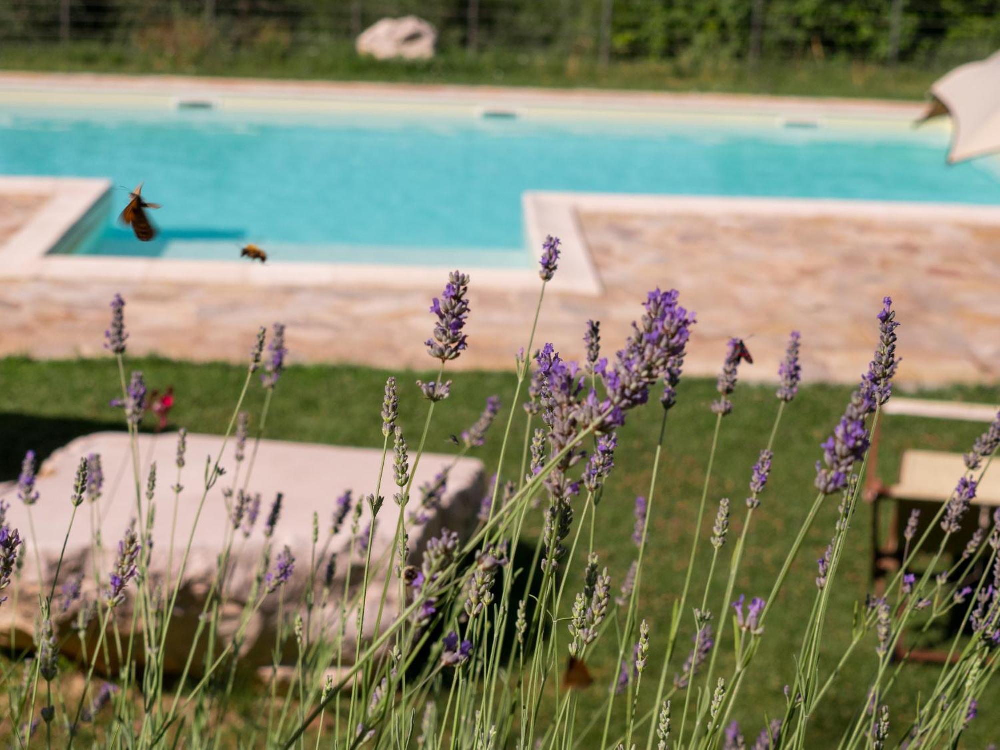 Lacelletta Country House Urbino Exteriér fotografie